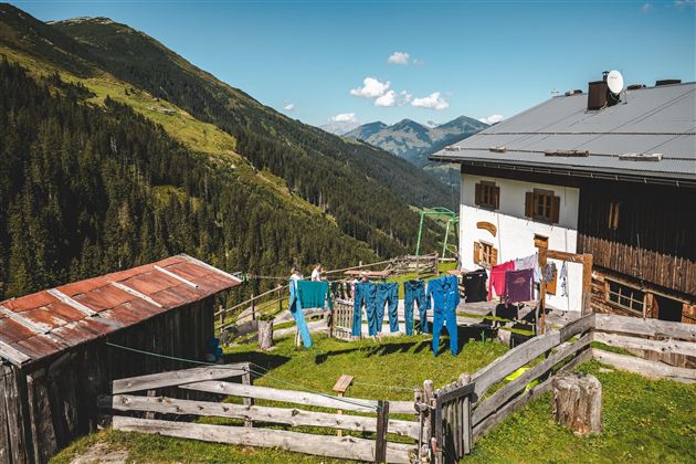 Rotwandalm Sommer 2