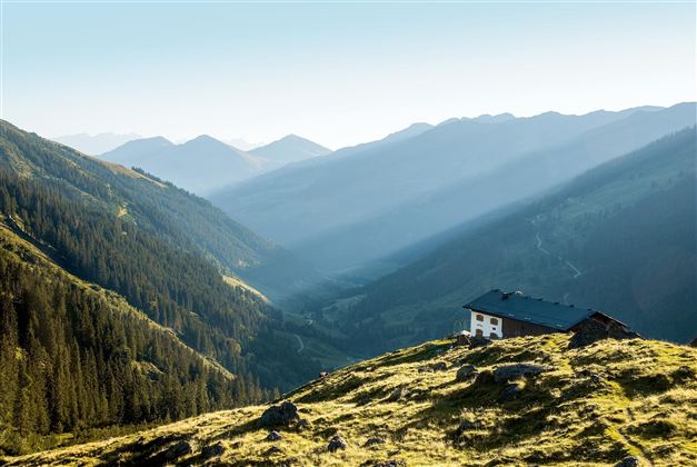 Rotwandalm Sommer