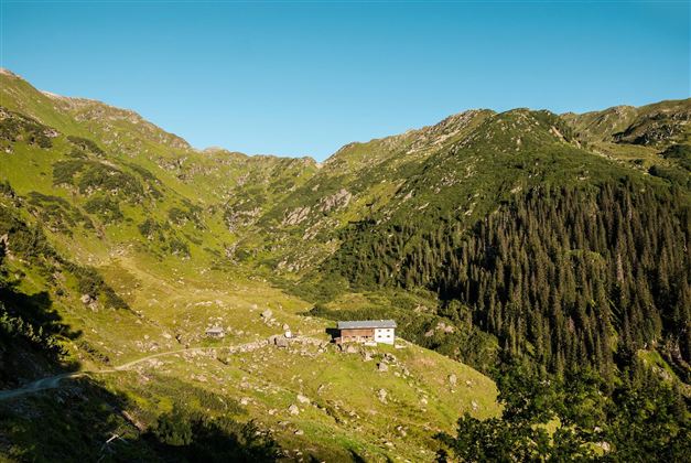 Rotwandalm