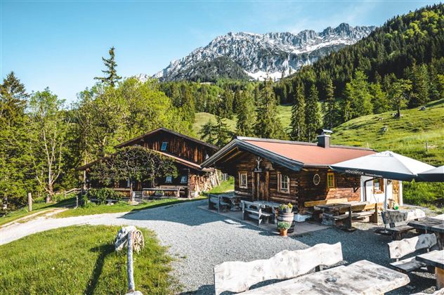 Scheffau_Hinterschießling Alm_Wilder Kaiser