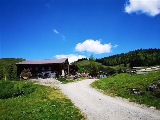 Scheffau_Stöfflhütte_Sommer_2