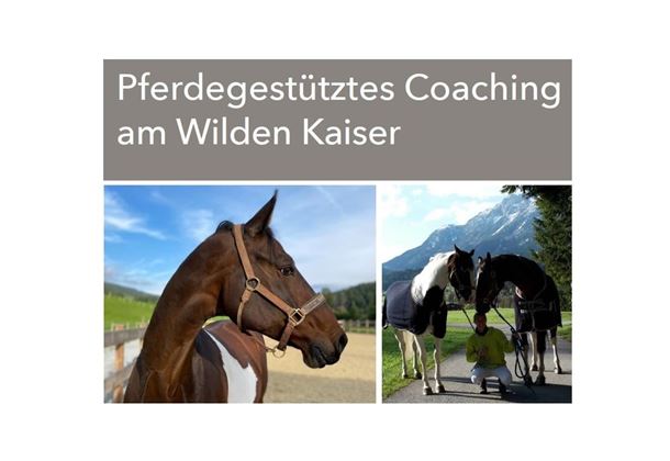 Scheffau_Trattenbachhof_Pferdegestütztes Coaching