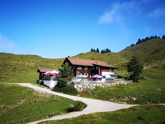 Scheffau_Walleralm_Sommer