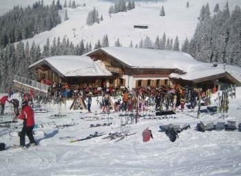 Söll_AuAlm_Wilder Kaiser