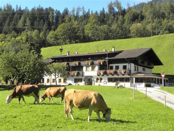 Söll_Außenansicht_Wilder Kaiser