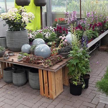 Söll_Gartenbau de Vlieger2_Wilder Kaiser
