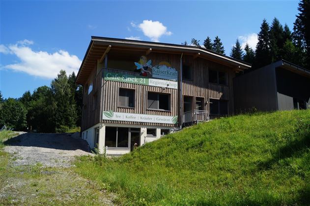 Söll_Kaiserkraft Ansicht2_Wilder Kaiser