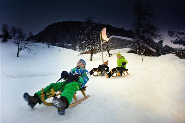 Drie kinderen sleeën vrolijk op een besneeuwde helling. Op de achtergrond zijn een houten huis en bomen te zien.