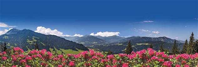 Söll_Panorama_Wilder Kaiser