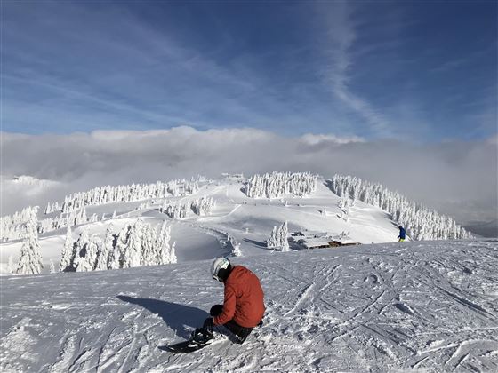 Een skiër zit op een met sneeuw bedekte bergtop. De lucht is helder en het landschap is omgeven door met sneeuw bedekte bomen.