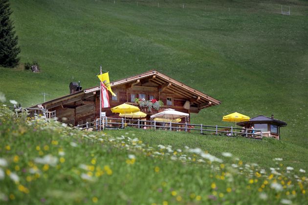 Sommer @ Hannes Dabernig - Region Hohe Salve