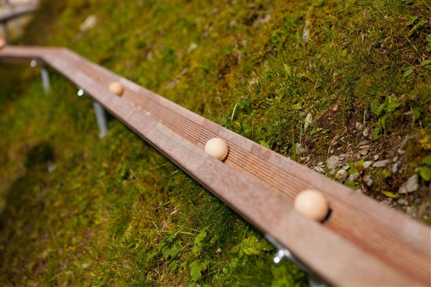 Spoggolino Bahn