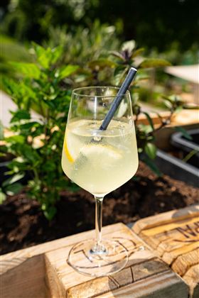 Spritzer