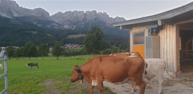 Stallung mit Auslauf