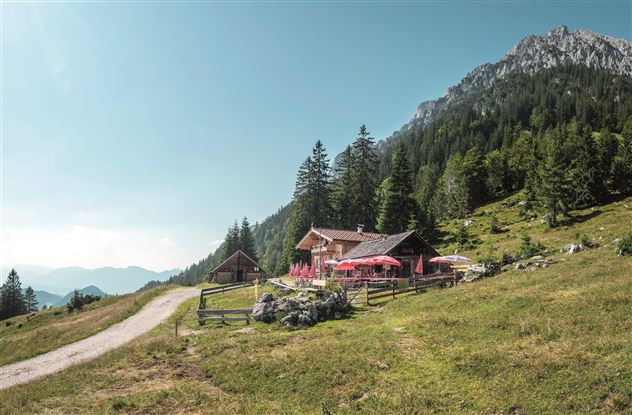 Steiner Hochalm_Scheffau