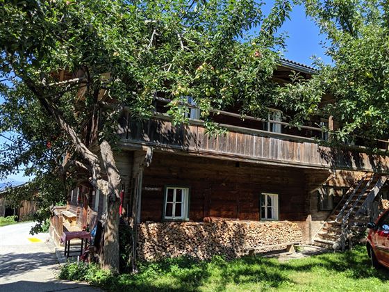 Thumerhof im Sommer