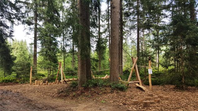 Waldpark 2