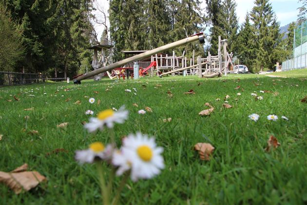 Waldspielplatz1