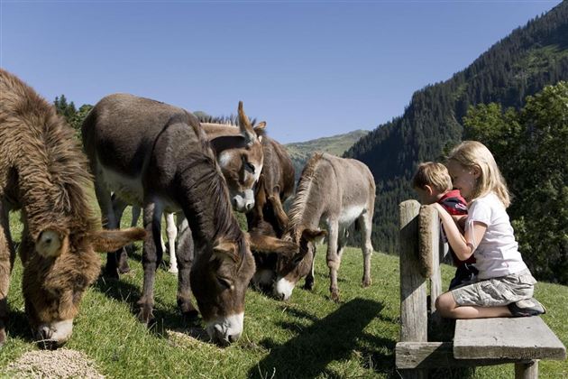Wildpark Aurach 2