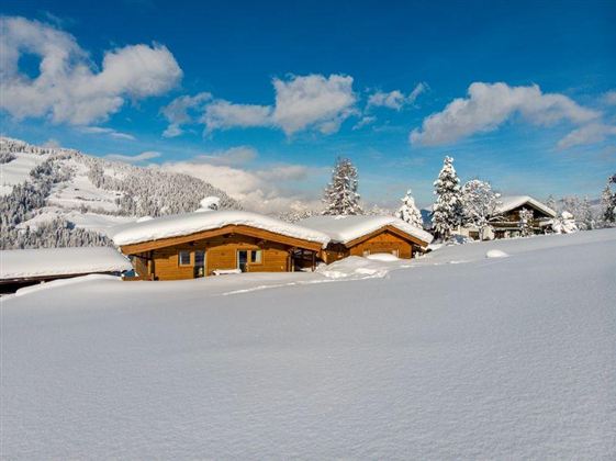 Winter 2