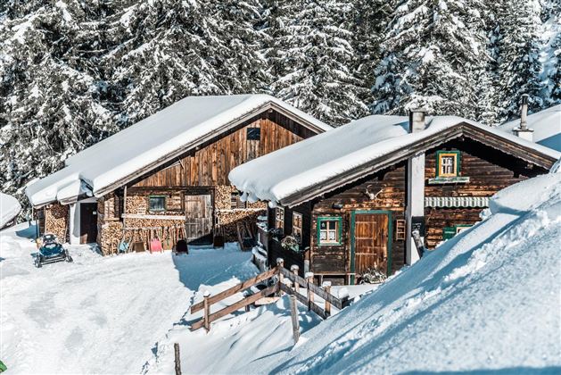 Winter 2