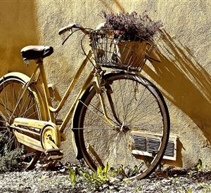 A yellow bicycle is leaning against a wall. The basket is filled with flowers, and the surroundings are left in their natural state.