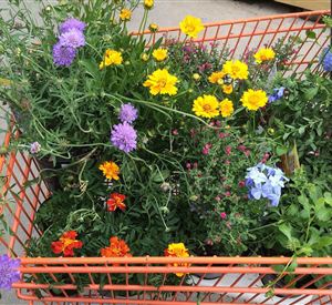 Een winkelwagentje vol kleurrijke bloemen in verschillende kleuren. De bloemen stralen frisheid en levendigheid uit.