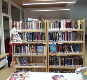 Library in elementary school Scheffau