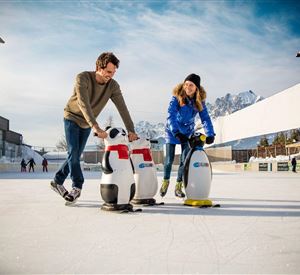 Een man en een vrouw glijden over een ijsbaan en gebruiken grappige ijshockey-pinguïns om zich vast te houden. Op de achtergrond zijn andere schaatsers en besneeuwde bergen te zien.