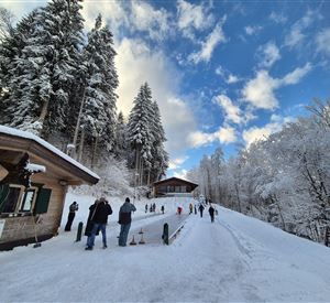 A snow-covered landscape with many trees and a blue sky. Some people are walking along the snowy path.