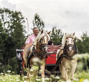 Horse-drawn carriage rides Achlhof