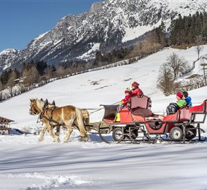 A horse-drawn sleigh ride through a wintry landscape with snow-covered fields and mountains in the background. Two children are sitting in the sleigh and enjoying the ride.