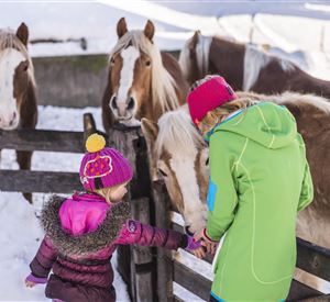 Zwei Kinder stehen an einem Holzzaun und füttern Pferde im Schnee. Die Kinder tragen bunte Winterbekleidung und die Umgebung ist winterlich und hell.