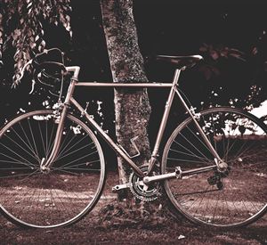 A simple bicycle stands next to a tree. The background is green and natural.
