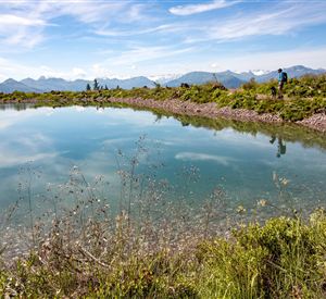 Ein ruhiger See umgeben von grünen Wiesen und Bergen. Der Himmel ist klar und strahlend blau.