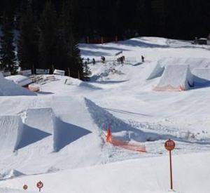 Eine verschneite Landschaft mit mehreren Sprüngen für Wintersportler. Im Hintergrund sind Bäume und ein Gebäude sichtbar.