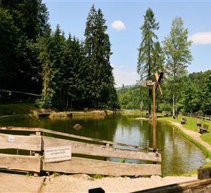 Een rustige vijver omringd door bomen en weilanden. Op de achtergrond zijn houten zitplaatsen en een zomers landschap te zien.