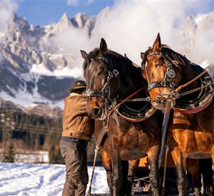 Een man staat naast twee paarden op de sneeuwondergrond. Op de achtergrond zijn besneeuwde bergen en een heldere lucht te zien.