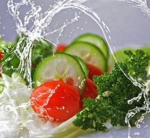 Salad Box