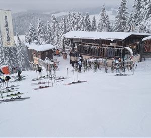 A snow-covered landscape with a ski hut and many skis that are parked. In the background, there are tall, snow-covered trees.