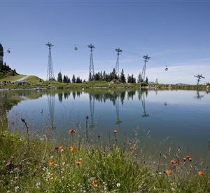 Ein malerischer See umgeben von bunten Blumen und grünen Wiesen. Im Hintergrund sind Gondeln und eine Bergstation zu sehen.