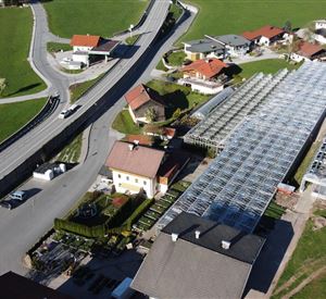 An aerial shot of a rural area with residential houses and a large greenhouse. In the foreground, a road runs through, while in the background, green meadows are visible.