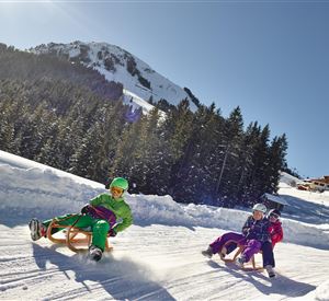 Two children are riding down the snowy slope on a sled. In the background, trees and mountains are visible, the sky is clear and blue.