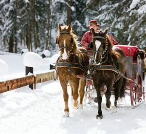 A horse-drawn sleigh ride in a snowy landscape. The trees are covered in snow and the scene radiates a wintry coziness.