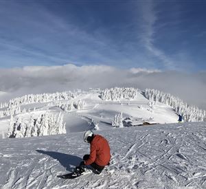 Een skiër zit op een met sneeuw bedekte bergtop. De lucht is helder en het landschap is omgeven door met sneeuw bedekte bomen.