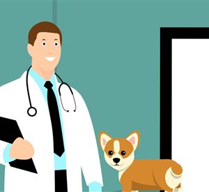 Ein Tierarzt steht mit einer Akte in der Hand neben einem kleinen Hund. Der Hund schaut freundlich in die Kamera.
