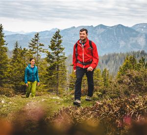 Zwei Wanderer erkunden einen malerischen Bergweg. Im Hintergrund erstrecken sich majestätische Berge und dichte Wälder.