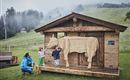 Ein Holzhaus mit einer Holzfigur einer Kuh steht auf einer Wiese. Zwei Kinder und eine Frau stehen davor und erkunden die Figur.