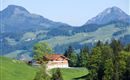 Aschingeralm Ebbs Sommeransicht