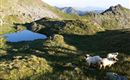 Auf dem weg zum Kröndlhorn